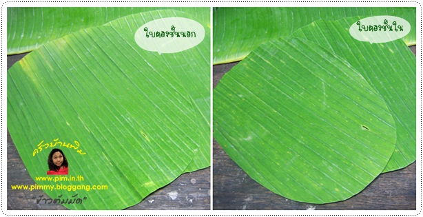 http://www.pim.in.th/images/tips-in-kitchen/wrap-by-banana-leaves/wrap-by-banana-vessel-07.jpg