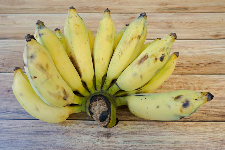 syrup cultivated banana 03