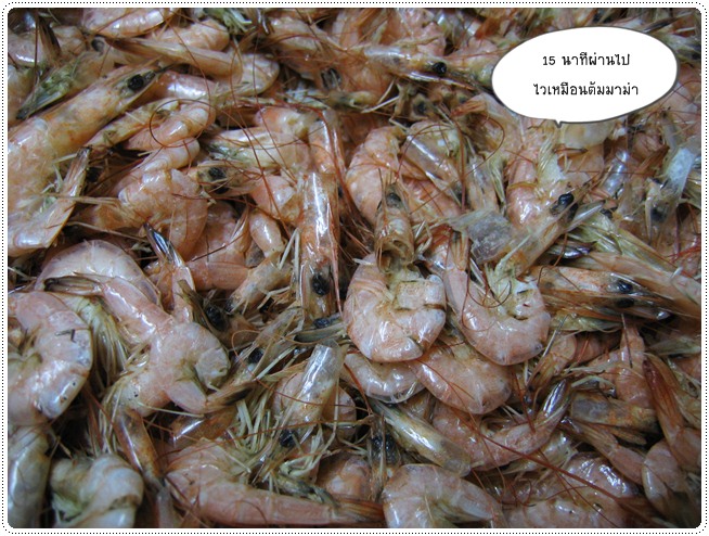 http://pim.in.th/images/food-preservation/dried-shrimp/dried-shrimp08.jpg