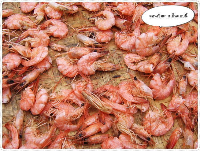 http://pim.in.th/images/food-preservation/dried-shrimp/dried-shrimp10.jpg