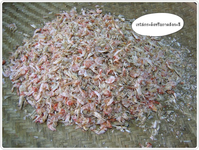 http://pim.in.th/images/food-preservation/dried-shrimp/dried-shrimp17.jpg