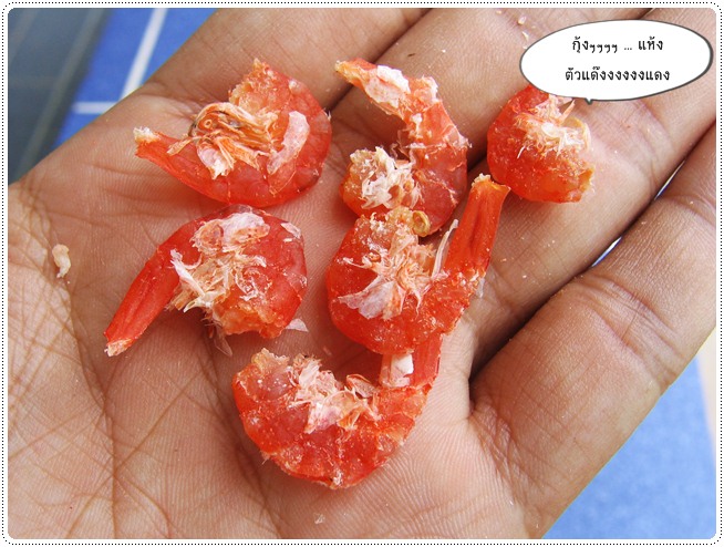 http://pim.in.th/images/food-preservation/dried-shrimp/dried-shrimp19.jpg