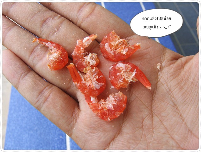 http://pim.in.th/images/food-preservation/dried-shrimp/dried-shrimp20.jpg